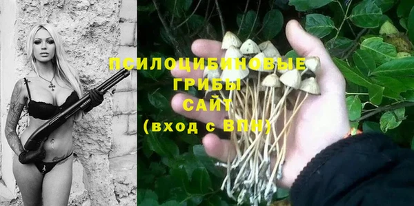 СК Алексеевка