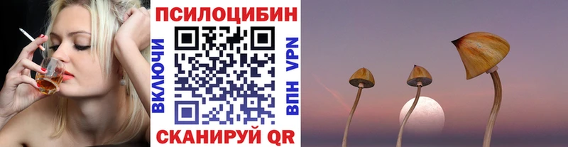 Псилоцибиновые грибы мухоморы  blacksprut вход  Омск 